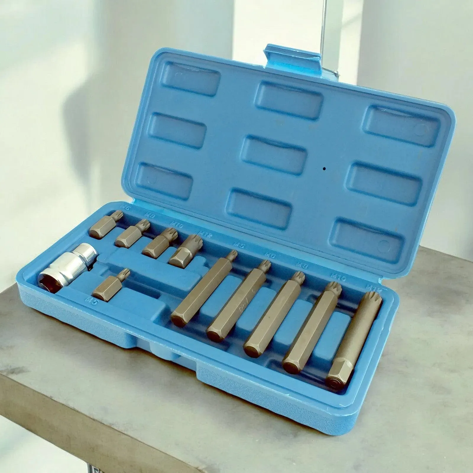 11 Piece Spline Hex Bit Socket Set M5 M6 M8 M10 M12 with 1/2" Drive Adaptor and Case