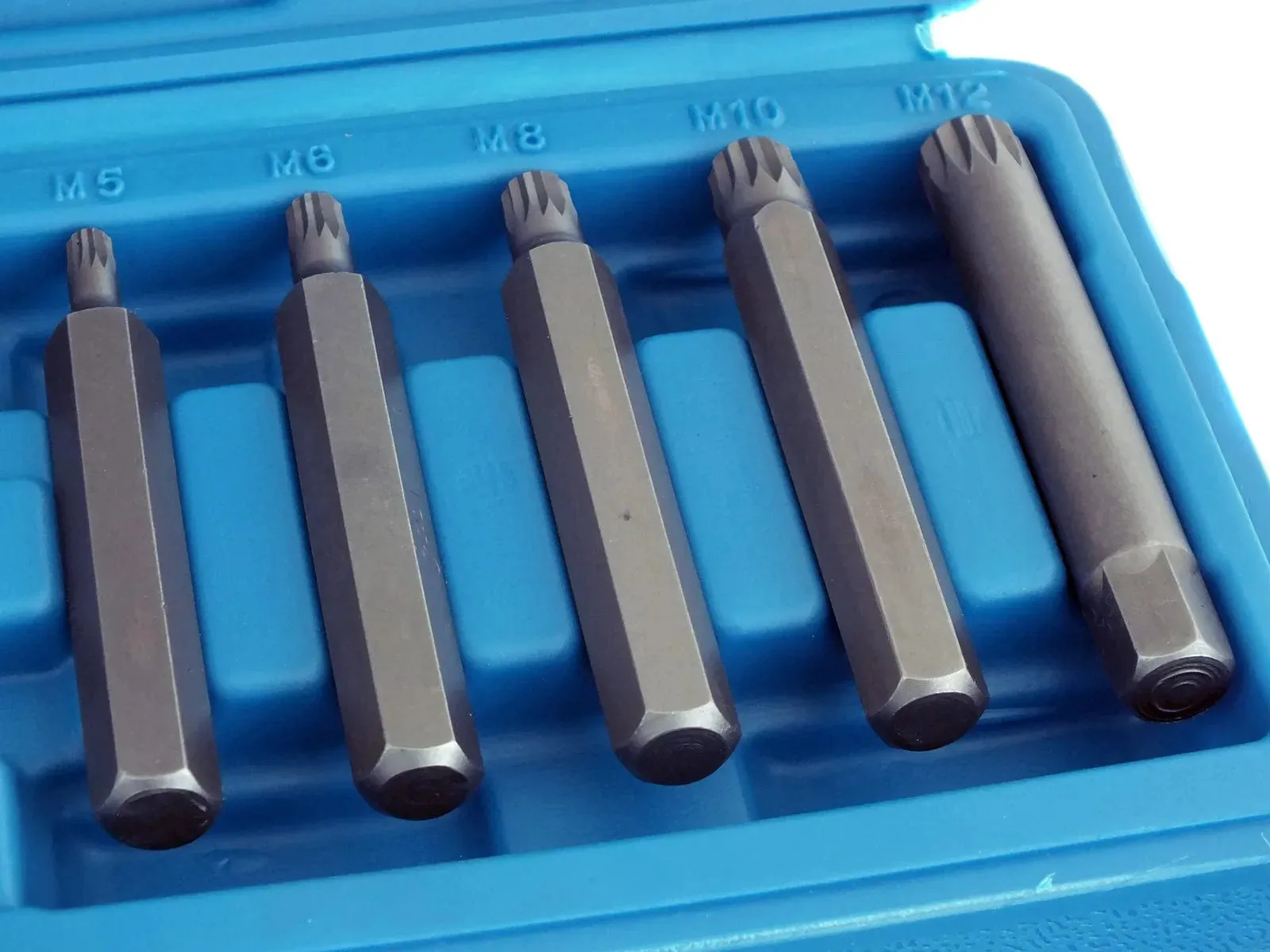 11 Piece Spline Hex Bit Socket Set M5 M6 M8 M10 M12 with 1/2" Drive Adaptor and Case