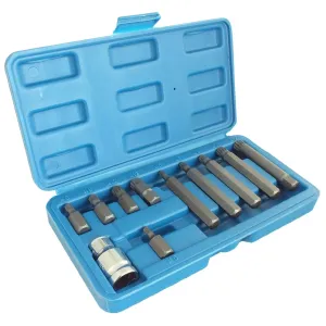 11 Piece Spline Hex Bit Socket Set M5 M6 M8 M10 M12 with 1/2" Drive Adaptor and Case