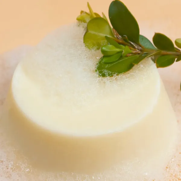 Curly Secret Conditioner Bar (60gr)