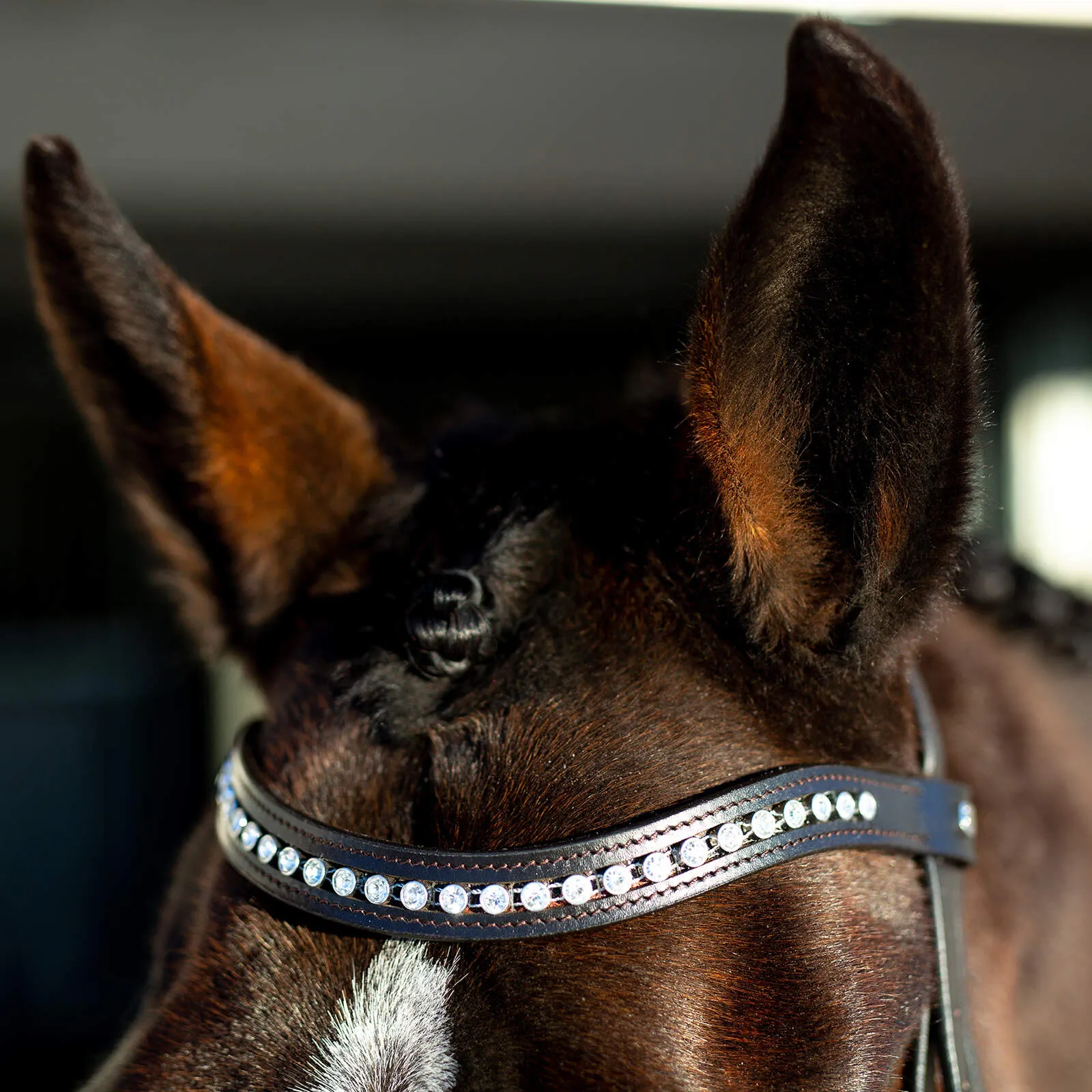 Horze Bergen Remont Bridle